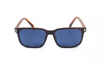 CG7201 C2 shiny tortoise-blue_3